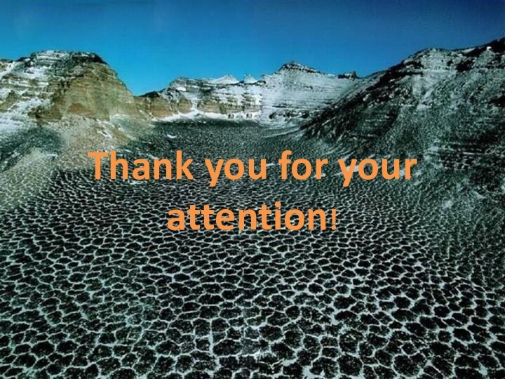 Thank you for your attention!