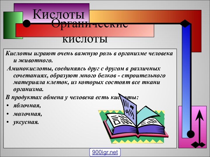 Кислоты  Органические кислотыКислоты играют очень важную роль в организме