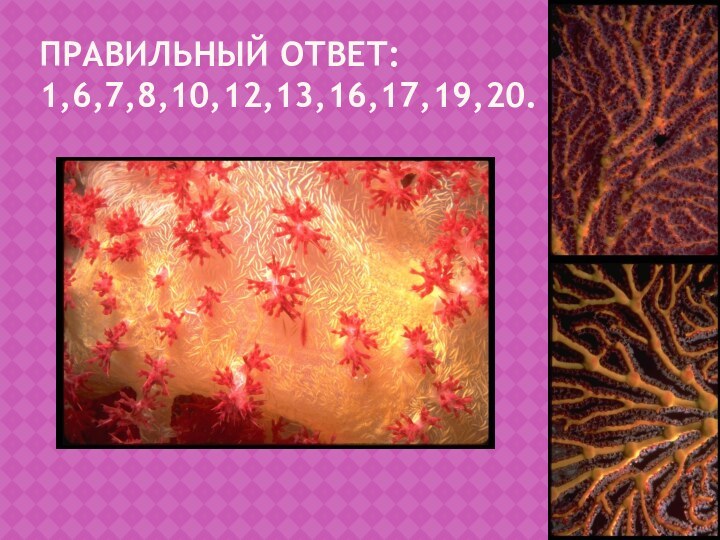 Правильный ответ: 1,6,7,8,10,12,13,16,17,19,20.