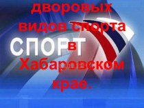 развитие дворовых видов спорта