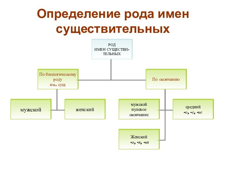 Определение рода имен существительных