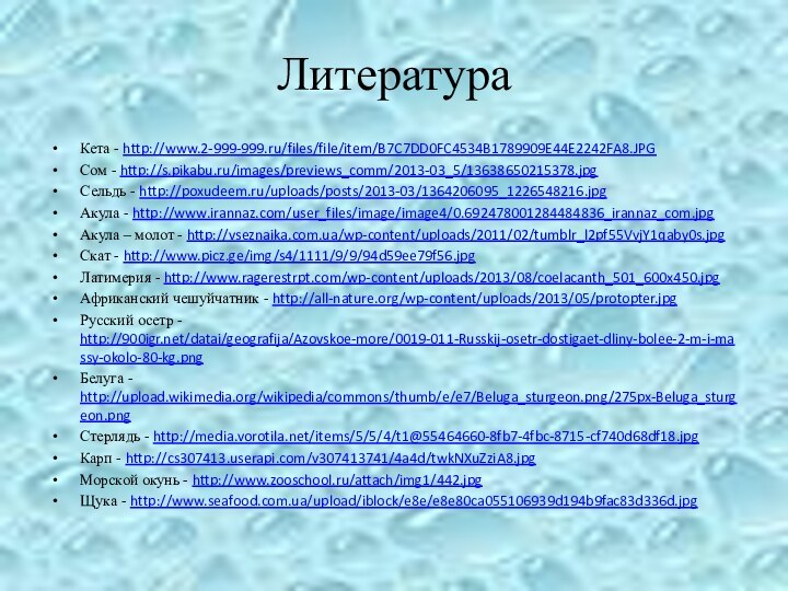 Литература Кета - http://www.2-999-999.ru/files/file/item/B7C7DD0FC4534B1789909E44E2242FA8.JPGСом - http://s.pikabu.ru/images/previews_comm/2013-03_5/13638650215378.jpgСельдь - http://poxudeem.ru/uploads/posts/2013-03/1364206095_1226548216.jpgАкула - http://www.irannaz.com/user_files/image/image4/0.692478001284484836_irannaz_com.jpgАкула – молот