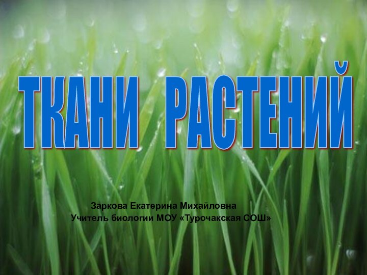 ТКАНИ  РАСТЕНИЙ Заркова Екатерина Михайловна Учитель биологии МОУ «Турочакская СОШ»