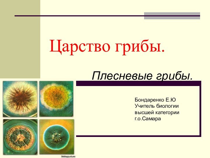 Царство грибы.       Плесневые грибы.Бондаренко Е.ЮУчитель биологии высшей категорииг.о.Самара