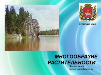 Многообразие растительности Пермского края