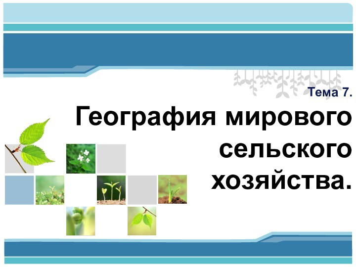 Тема 7. География мирового сельского  хозяйства.