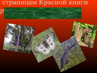 По страницам Красной книги Кировской области