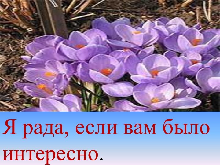 Я рада, если вам было интересно.Я рада, если вам было  интересно.