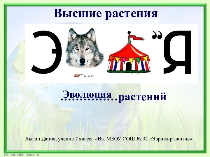 Высшие растения ……………растений    Лыгин Данил, ученик 7 класса «В»,