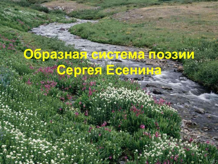 Образная система поэзии Сергея Есенина