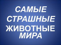 Самые страшные животные мира