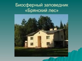 Биосферный заповедник Брянский лес