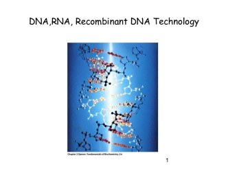 Recombinant DNA Technology