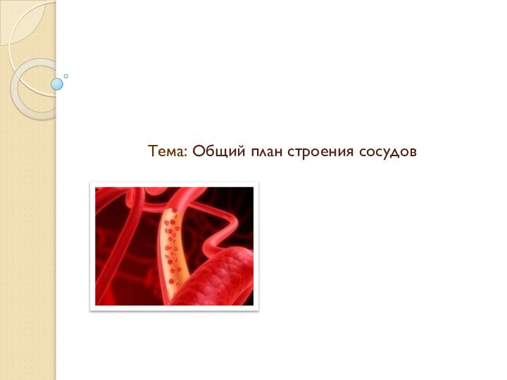 Тема: Общий план строения сосудов