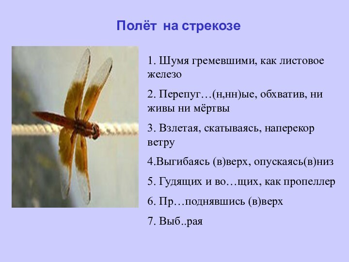 Полёт на стрекозе1. Шумя гремевшими, как листовое железо2. Перепуг…(н,нн)ые, обхватив, ни живы