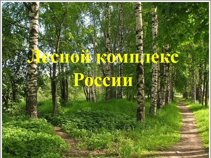 Лесной комплекс России