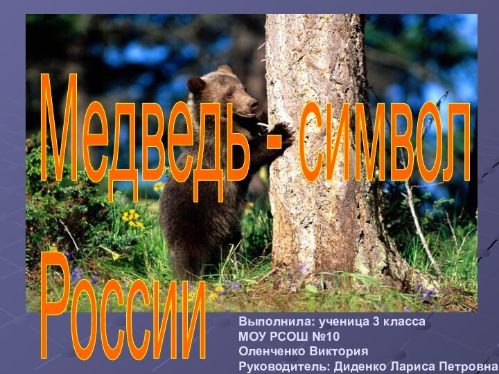 Медведь - символ  РоссииВыполнила: ученица 3 класса МОУ РСОШ №10