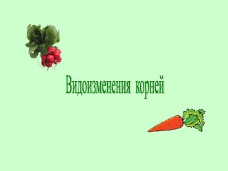 Видоизменения корней