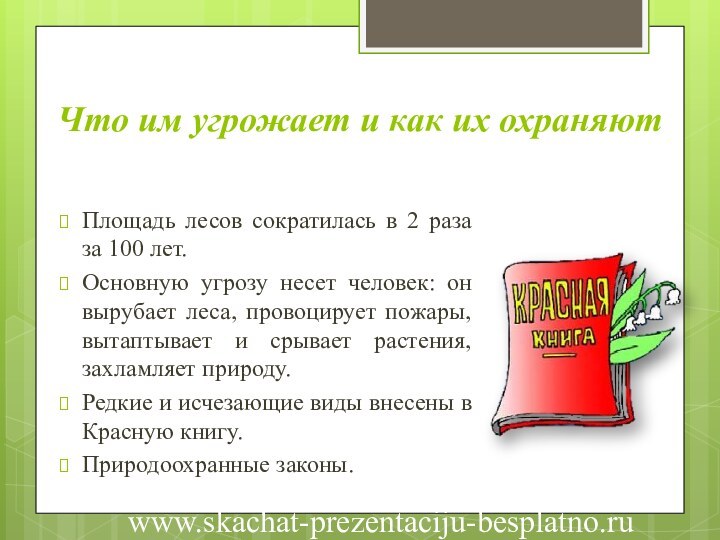 Что им угрожает и как их охраняют Площадь лесов сократилась в 2