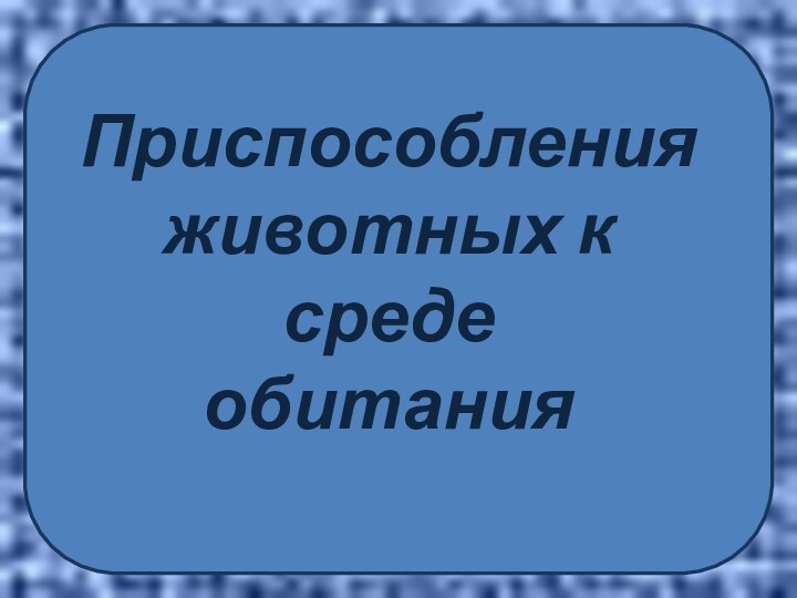 Приспособления  животных к среде обитания