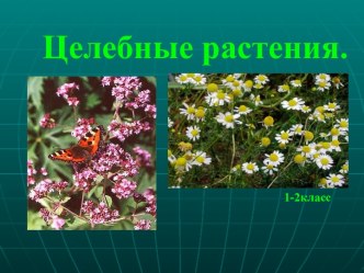 Целебные растения