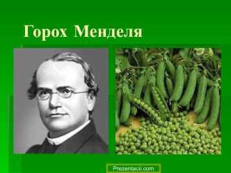 Горох Менделя