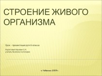 Строение Живого организма