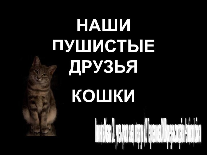 НАШИ ПУШИСТЫЕ ДРУЗЬЯКОШКИВыполнила Облакова С.В., учитель русского языка и литературы МОУ Петропавловская