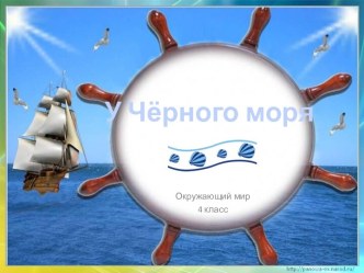 У Чёрного моря