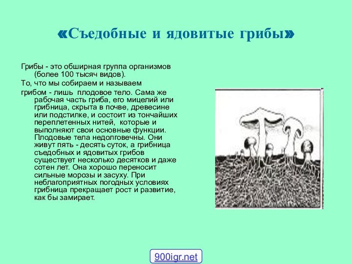 «Съедобные и ядовитые грибы»Грибы - это обширная группа организмов (более 100 тысяч