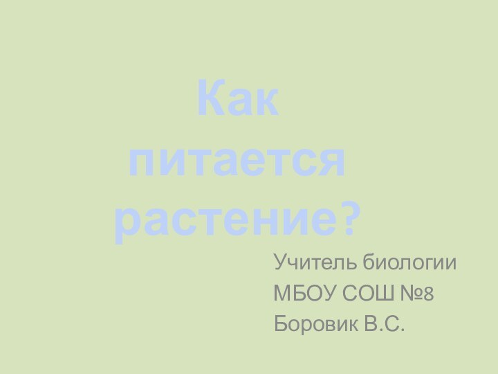 Учитель биологии МБОУ СОШ №8Боровик В.С.Как питаетсярастение?