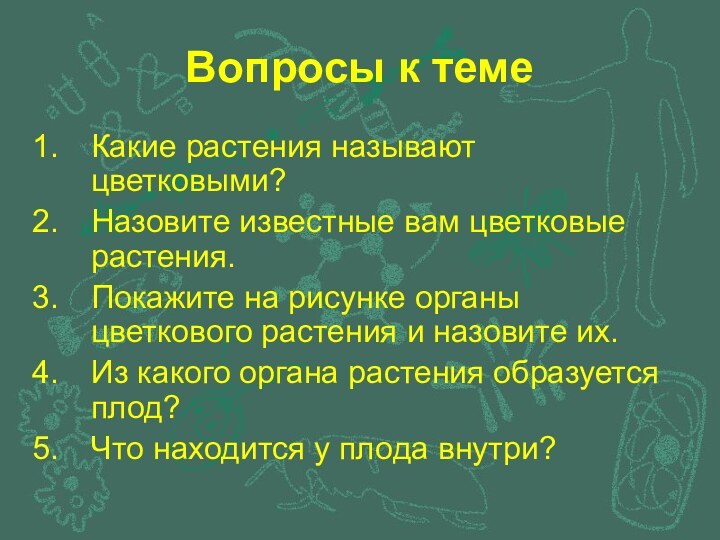 Вопросы к темеКакие растения называют цветковыми?Назовите известные вам цветковые растения.Покажите на рисунке