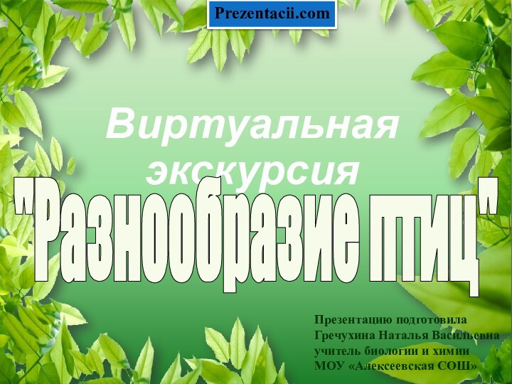 Виртуальная экскурсия 