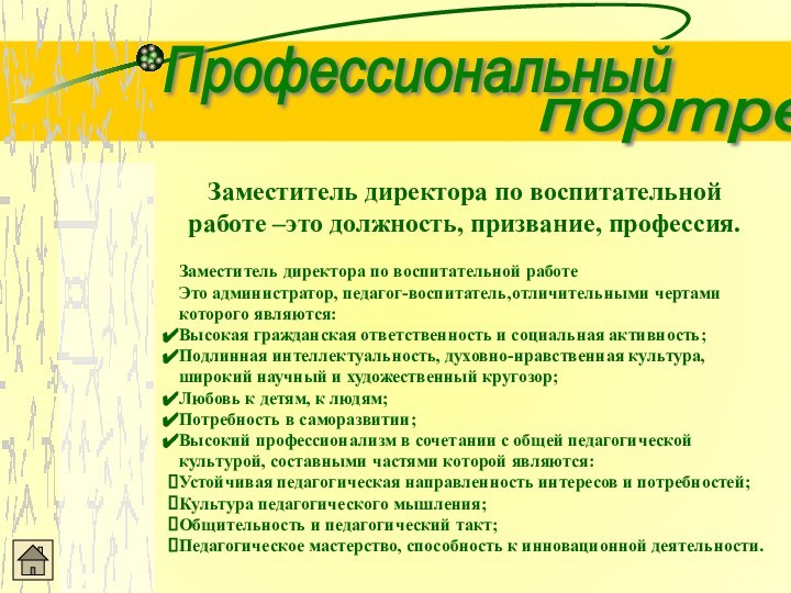 ПрофессиональныйпортретЗаместитель директора по воспитательной работе –это должность, призвание, профессия.Заместитель директора по воспитательной