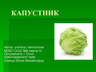 Домашние заготовки. Капустник