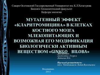 Мутагенный эффект Кларитромицина в клетках костного мозга млекопитающих и возможная его модификация биологически активным веществом Ginkgo Biloba