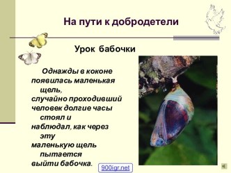 Урок Бабочки