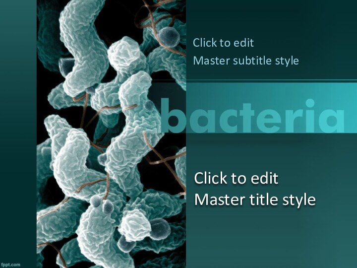 Click to edit  Master title styleClick to edit Master subtitle style