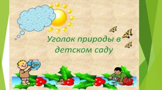 Уголок природы в детском саду