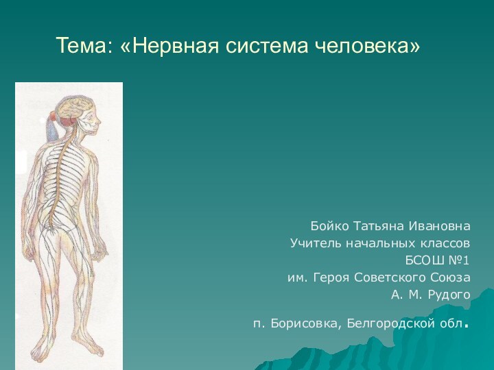 Тема: «Нервная система человека» Бойко Татьяна Ивановна Учитель начальных классовБСОШ