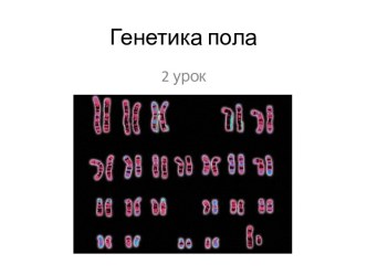 Генетика пола 9 класс (2ой урок)