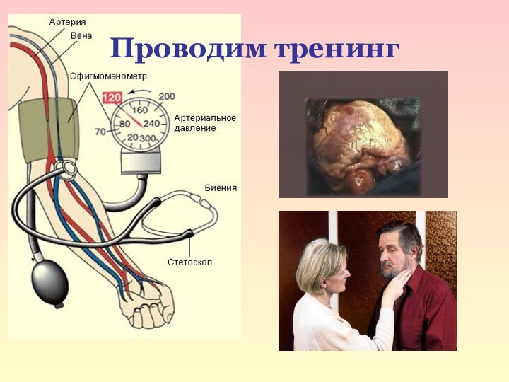 Проводим тренинг