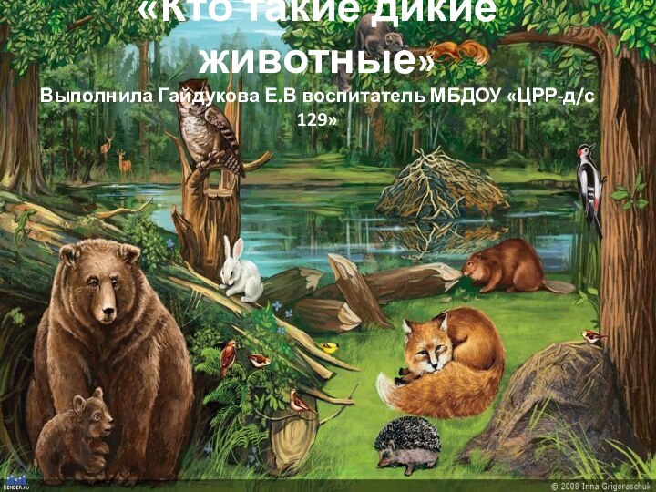 «Кто такие дикие животные» Выполнила Гайдукова Е.В воспитатель МБДОУ «ЦРР-д/с 129»