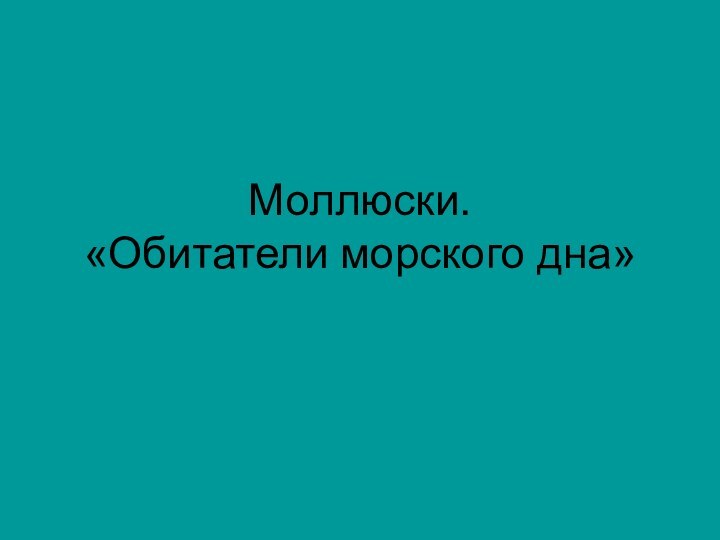 Моллюски. «Обитатели морского дна»