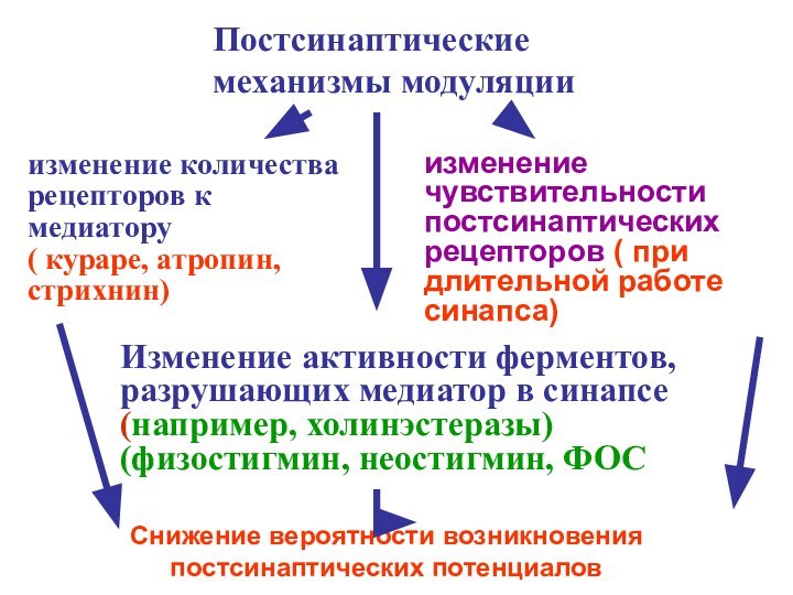 Постсинаптическиемеханизмы модуляцииизменение количества рецепторов к медиатору( кураре, атропин, стрихнин)изменение чувствительностипостсинаптических рецепторов (