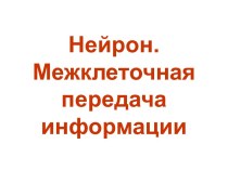 Межклеточная передача возбуждения