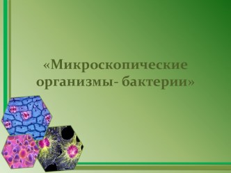 Микроскопические организмы- бактерии