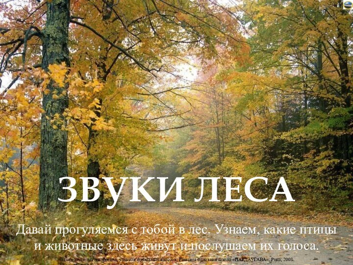 Давай прогуляемся с тобой в лес. Узнаем, какие птицыи животные здесь живут