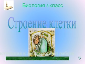 Строение клетки 6 класс