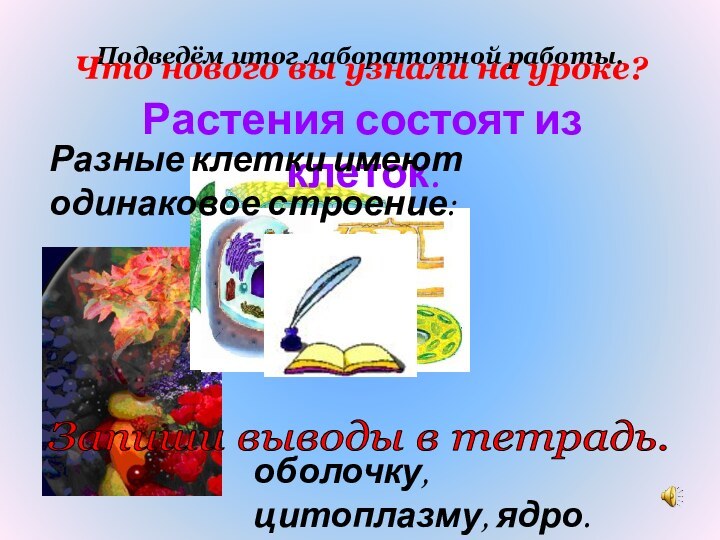 Подведём итог лабораторной работы.Что нового вы узнали на уроке?Растения состоят из клеток.Разные